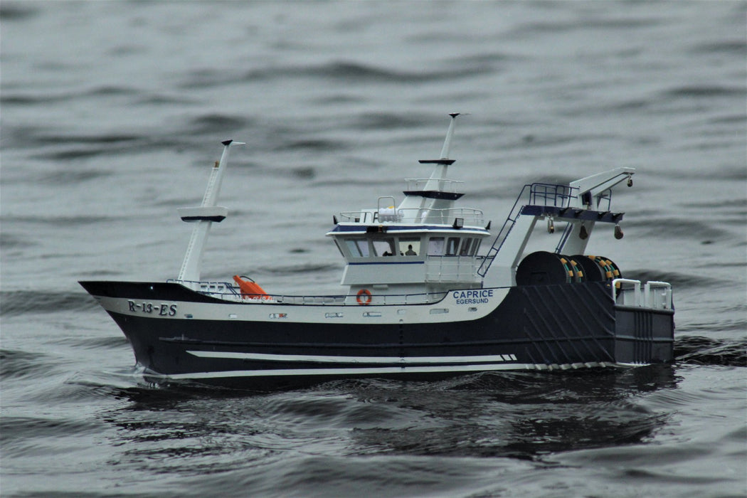 Caprice/Tempo 1:50  (54cm)