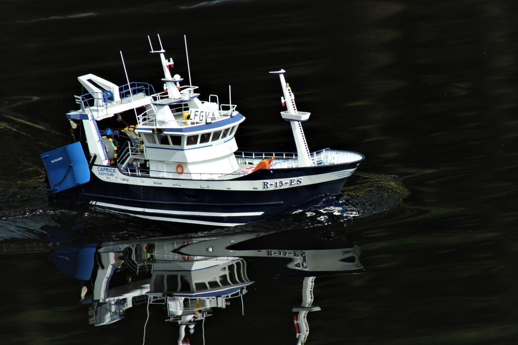 Caprice/Tempo 1:50  (54cm)