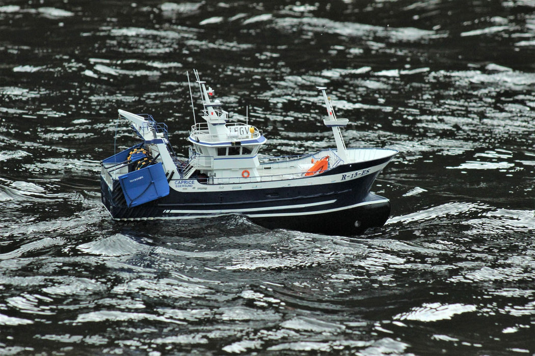 Caprice/Tempo 1:50  (54cm)