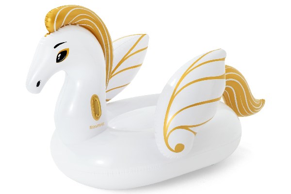 Pegasus 1.59M X 1.09M