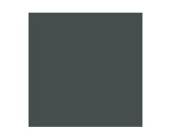 CAM. BLACK GREEN 4BO 17ml (1stk) - Hobbyhjørna