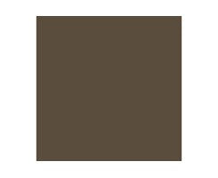 CAM. MEDIUM BROWN 17ml (1stk) - Hobbyhjørna