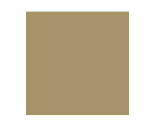 BRIGHT BRASS 17ml (1stk) - Hobbyhjørna