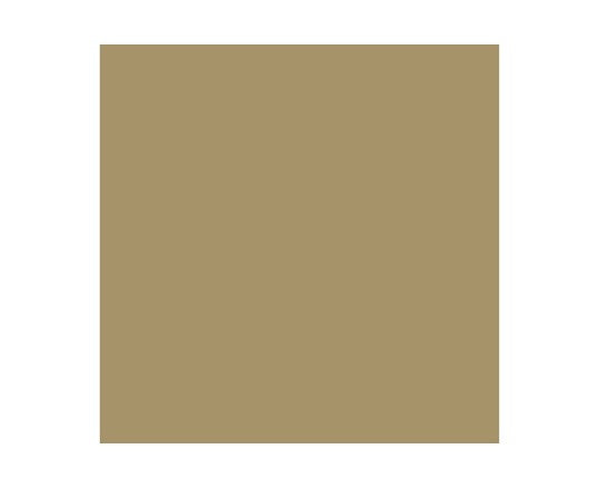 BRIGHT BRASS 17ml (1stk) - Hobbyhjørna