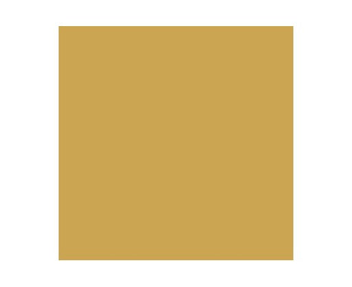 US INTERIOR YELLOW 17ml (1stk) - Hobbyhjørna